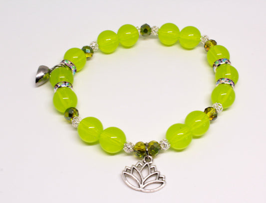 Princess and the frog duo set